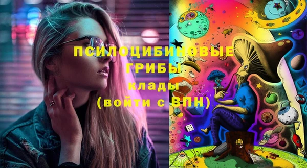 PSILOCYBIN Армянск