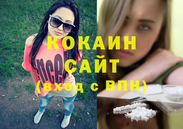 кокс Арсеньев
