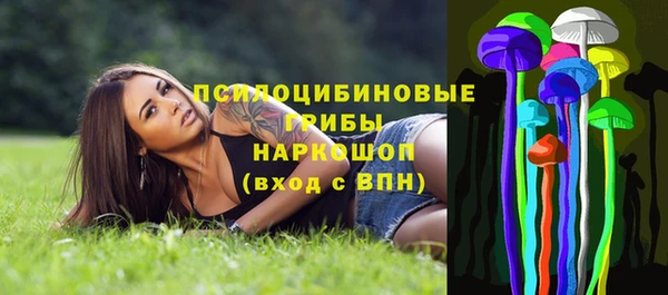 кокс Арсеньев