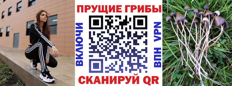 Псилоцибиновые грибы GOLDEN TEACHER  Сарапул 